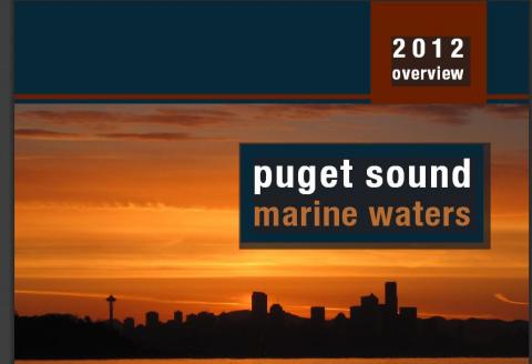 Report cover with city skyline at sunset