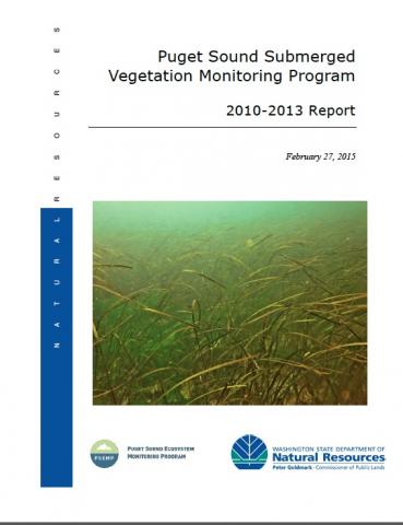 Report cover