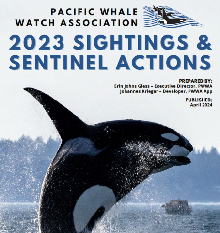Cover of the Pacific Whale Watch Association 2023 Sightings and Sentinel Actions report, featuring a photograph of an orca whale breaching with a boat in the distance.
