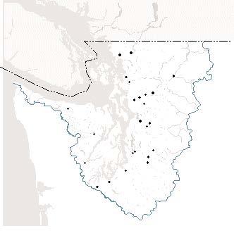 Ecology’s core river and stream monitoring stations in the Puget Sound basin. (page 18) Ecology’s core river and stream monitoring stations in the Puget Sound basin. (page 18)
