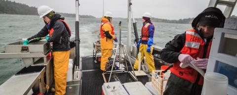 Ecology's Marine Sediment Monitoring Team in action.