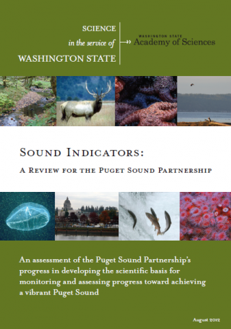 Sound indicators report cover page