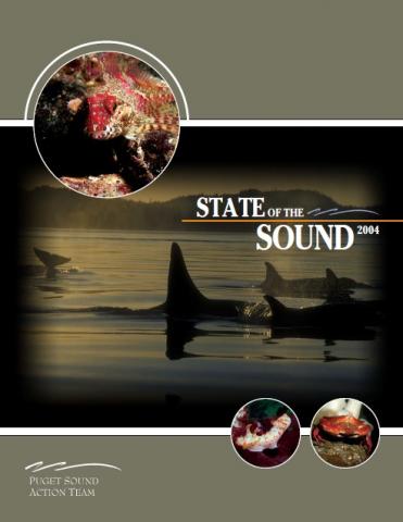 State of the Sound 2004 report cover image
