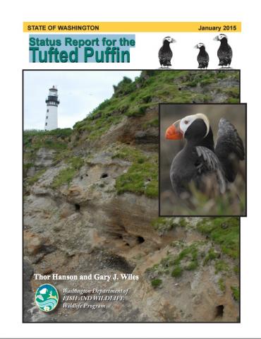 Report cover