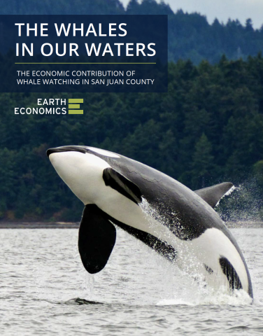 Report cover
