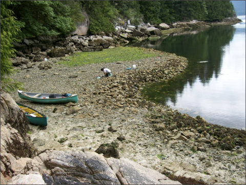 Clam gardens, while all being characterized by a level terrace behind a rock wall in the lower intertidal, are diverse in their shapes and sizes. Photo: Amy S. Groesbeck.Clam gardens, while all being characterized by a level terrace behind a rock wall in the lower intertidal, are diverse in their shapes and sizes.