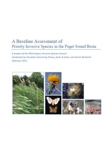 A baseline assessment report cover page
