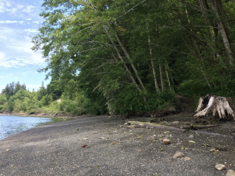 Anna Smith Park, Bremerton WA – May 2017 Anna Smith Park, Bremerton WA – May 2017