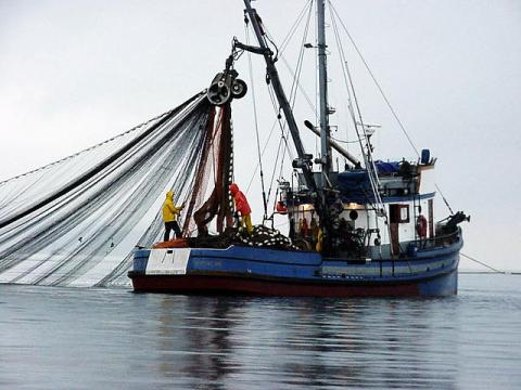 Block seine fishing. Image courtesy of WDFW.
