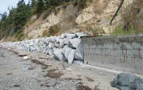 Former feeder bluff with sediment impounded by armoring. Photo by Hugh Shipman.