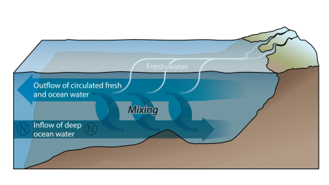Graphical illustration of circulation pattern in Puget Sound of deep and surface waters