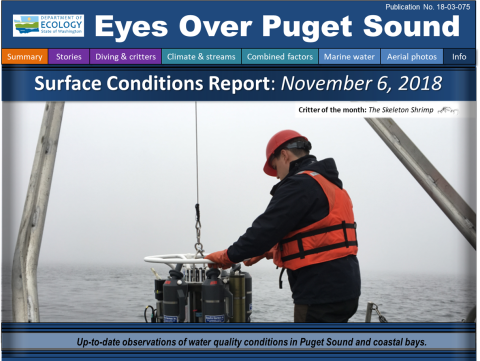 Eyes Over Puget Sound: Surface Conditions Report - November 6, 2018