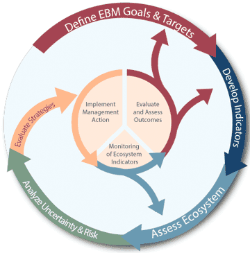 Graphic of the IEA loop. Credit: NOAA