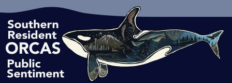 Image from report cover