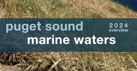 A portion of the report cover with the report title and an image of a grassy shoreline. 