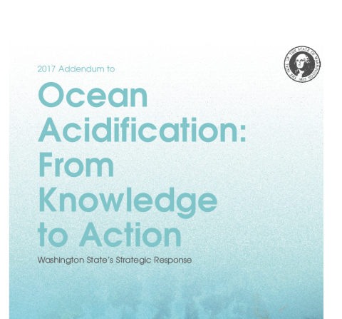 Report cover