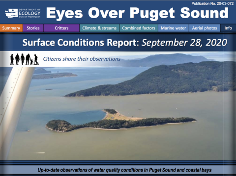 Report cover