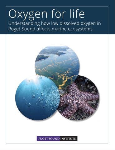 Report cover