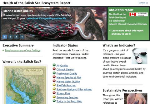 Screenshot of 2013 Health of the Salish Sea Ecosystem Report
