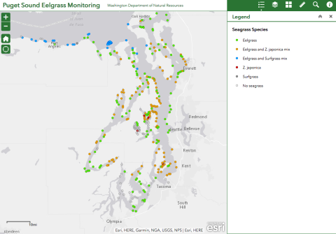 Eelgrass Data Viewer