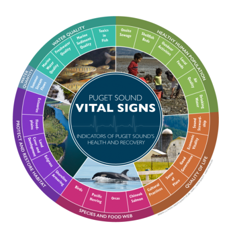 Puget Sound Partnership Vital Sign wheel