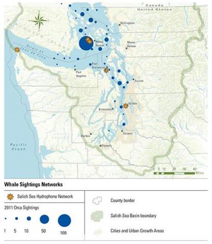 Salish Sea Hydrophone Network locations and 2011  orca sightings from the Orca Network Whale Sightings Network. Source: Salish Sea Hydrophone Network and Orca Network.