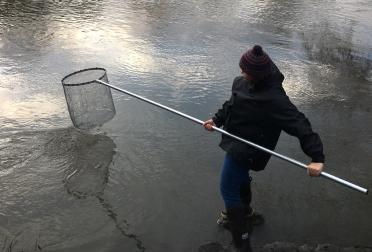 A woman standing on a rock in a river holding a long pole with a net on the end. Photo: Rachael Mallon