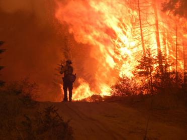 The Cougar Creek Fire in Klickitat County, Washington, 2015. Photo: USFS   