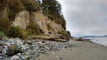 Feeder bluff and beach at Fort Flagler Historical State Park. Marrowstone Island, WA. Photo: Kris Symer (CC BY-NC-ND 4.0)