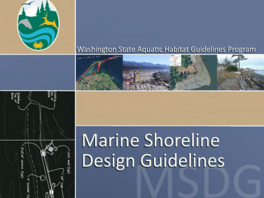 Marine Shoreline Design Guidelines (MSDG) report cover