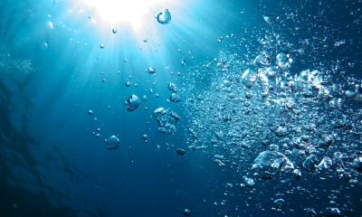 View from underwater of bubbles rising to the surface of the ocean with sunlight above.