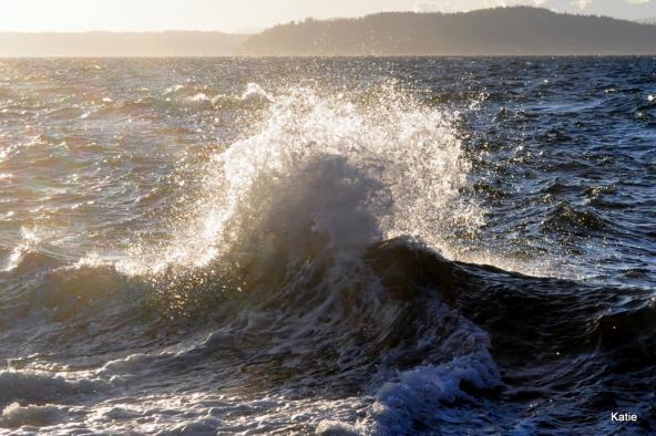 Waves crashing on the Puget Sound Photo: MikeySkatie (CC BY-SA 2.0) https://www.flickr.com/photos/mikeyskatie/5473869676