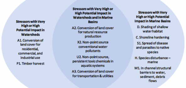 Stressors with Very High or High Potential Impact in Puget Sound