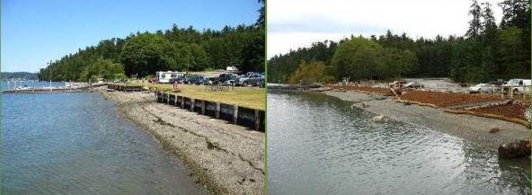 Armor-removal project at Cornet Bay State Park before and after site restoration. Photo courtesy of PSEMP