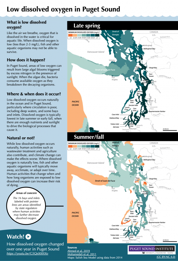 Infographic describing low dissolved oxygen in Puget Sound