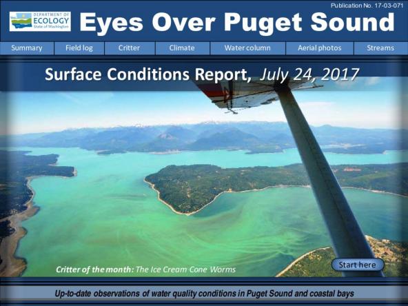 Eyes Over Puget Sound: Surface Conditions Report – July 24, 2017