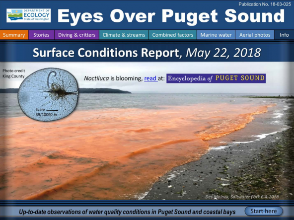 Eyes Over Puget Sound: Surface Conditions Report – May 22, 2018