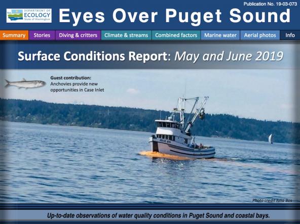 Eyes Over Puget Sound report cover