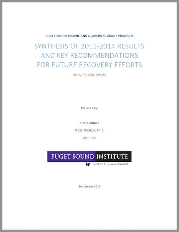 report cover: Synthesis of 2011-2014 results and key recommendations for future recovery efforts: Final analysis report