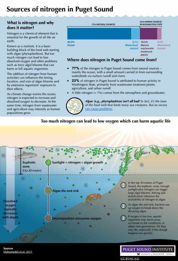 Infographic describing sources of nitrogen in Puget Sound