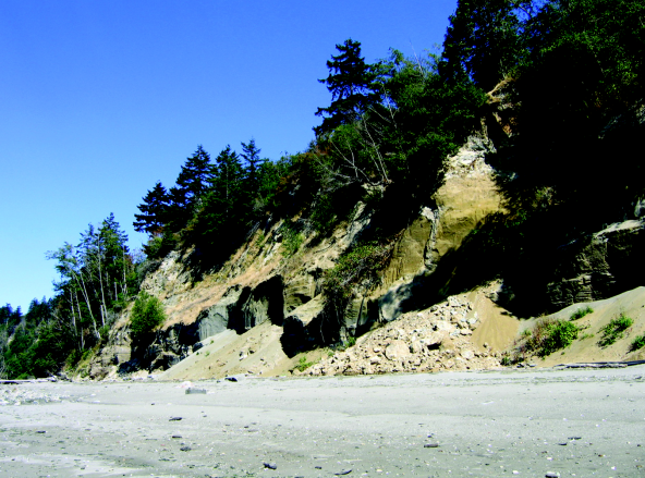 Bluff failures contribute sediment to beaches