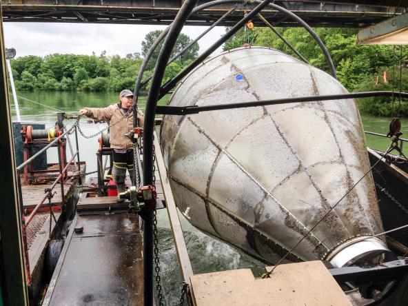 Dean Toba, a scientific technician with the Washington Department of Fish and Wildlife, operates the agency’s screw trap on the Skagit River. The trap helps biologists estimate the number of juvenile salmon leaving the river each year. Photo: Christopher Dunagan, PSI