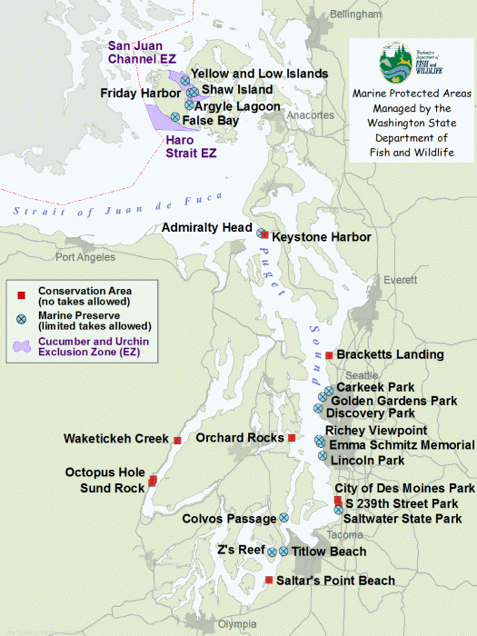 A map of Marine Protected Areas within Puget Sound. Image courtesy of the Washington Department of Fish and Wildlife