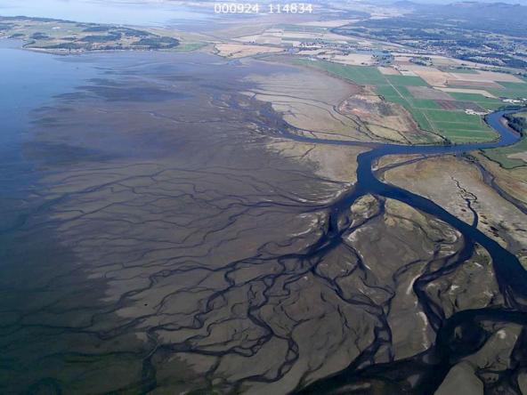 A large river delta in Puget Sound. Photo courtesy of Puget Sound Nearshore Ecosystem Restoration Project
