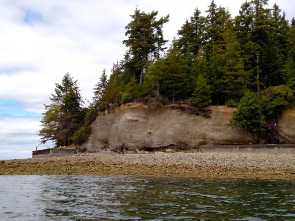 Concrete bulkheads at base of feeder bluff along Case Inlet in Pierce County. Photo: Kris Symer (CC BY-NC-ND 4.0)