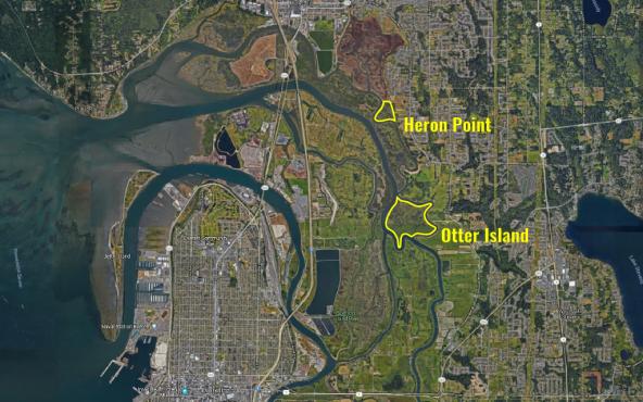 Aerial photo of Snohomish River delta showing outlines of Otter Island and Heron Point tidal forests. Annotated Google Map: Kris Symer/PSI