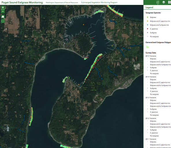 Screenshot of Quartermaster Harbor eelgrass survey data from the Puget Sound Eelgrass Monitoring Data Viewer. http://www.dnr.wa.gov/programs-and-services/aquatics/aquatic-science/puget-sound-eelgrass-monitoring-data-viewer