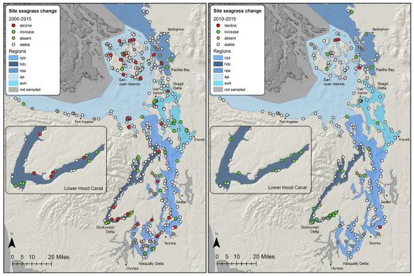 Left: Sites with clear trends in native seagrass area between 2000 and 2015. Right: Sites with clear trends in native seagrass area between 2010 and 2015. Source: WA DNR Puget Sound Seagrass Monitoring Report (2015)