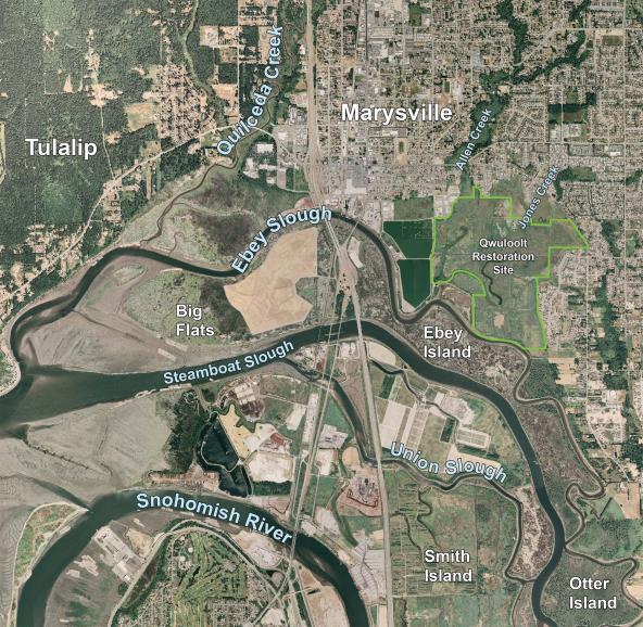 Map of Qwuloolt Restoration site and vicinity. Courtesy: Tulalip Tribes