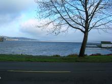 2003 Seattle Marathon - Seward Park Photo: J Brew (CC BY-SA 2.0) https://www.flickr.com/photos/brewbooks/1282527696